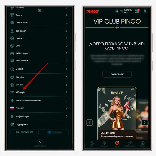 Программа лояльности